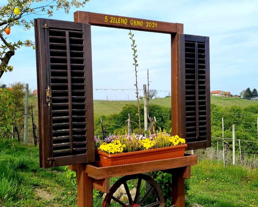 5. zeleno okno